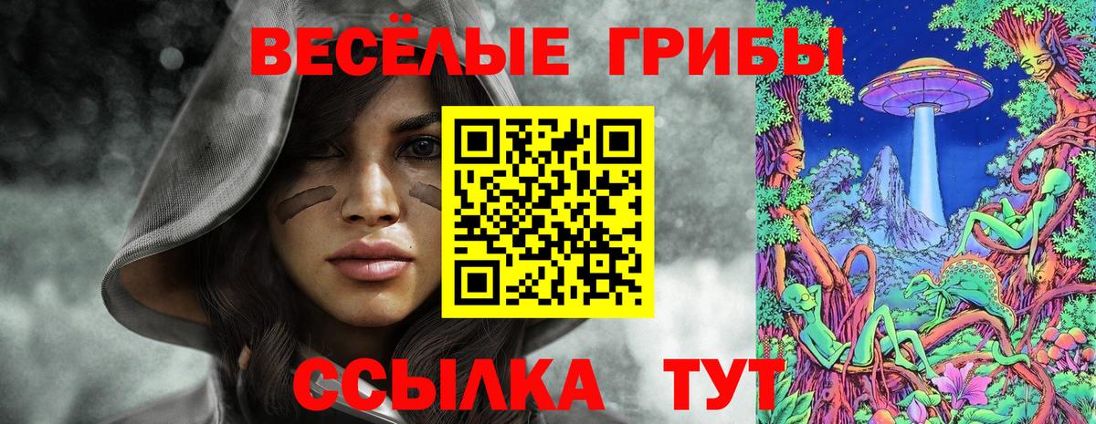 Галлюциногенные грибы мицелий Ликино-Дулёво