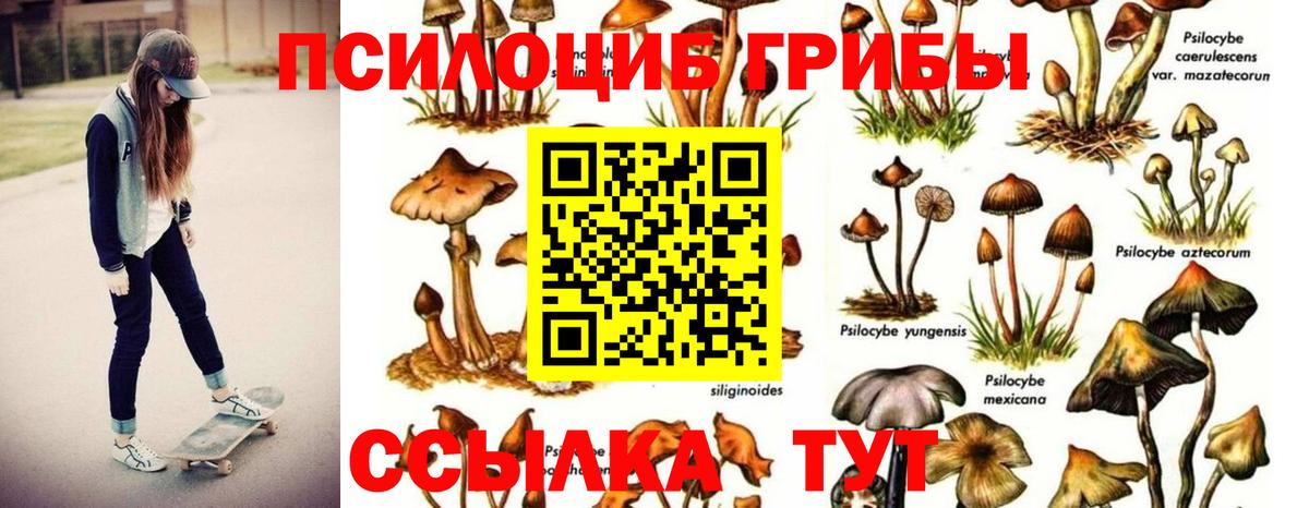 Псилоцибиновые грибы GOLDEN TEACHER  Галлюциногенные грибы Psilocybe  Ликино-Дулёво  Вход с VPN 